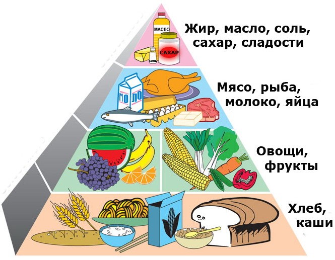 Информация об условиях питания обучающихся.